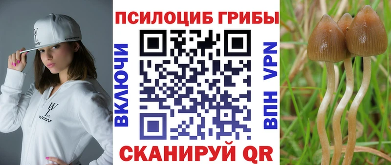 Псилоцибиновые грибы прущие грибы  Светлогорск 